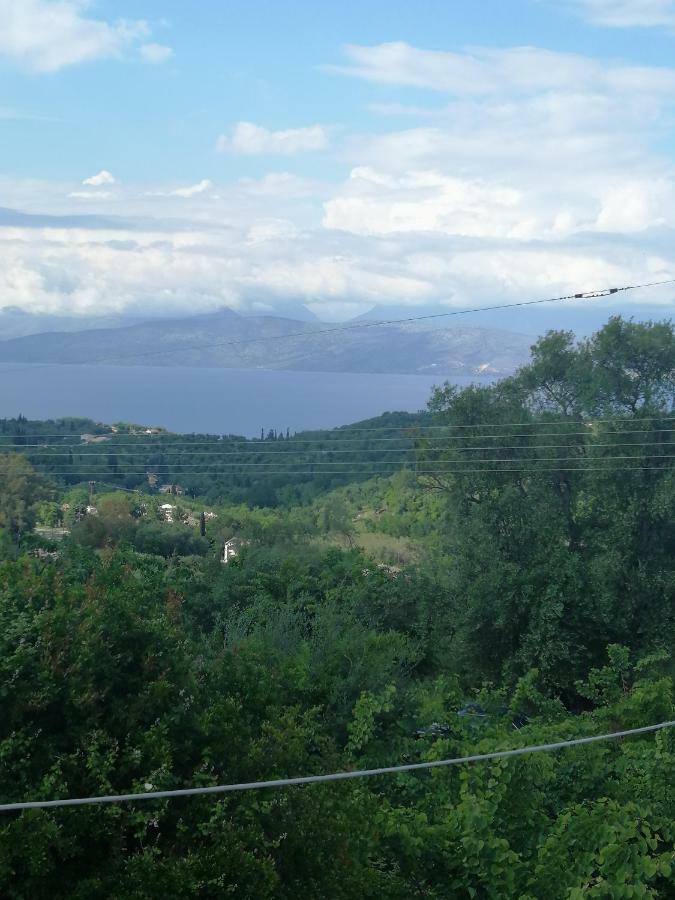 Olive Grove Deluxe Apartment Agnitsini ภายนอก รูปภาพ