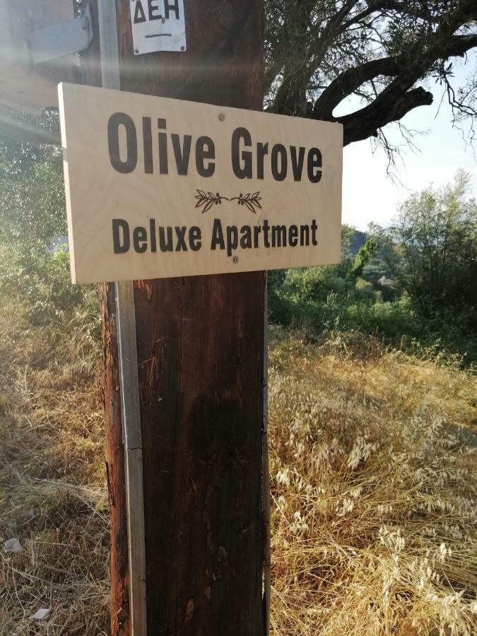 Olive Grove Deluxe Apartment Agnitsini ภายนอก รูปภาพ